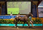 A filly by Spirit of Boom consigned as Lot 384 brings AU$430,000 (US$331,282) at the Magic Millions Gold Coast March sale