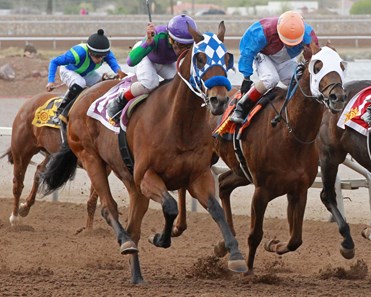 G M Gage wins the 2018 New Mexico State University Handicap
