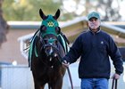 Bolt d'Oro will make his second start of the season in the April 7 Santa Anita Derby at Santa Anita Park