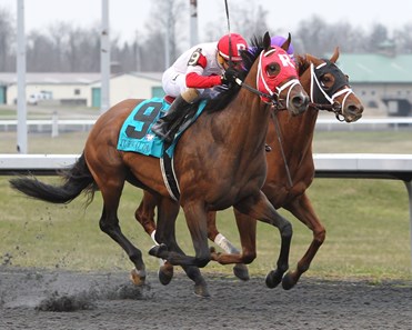 Camelot Kitten wins the 2018 Kentucky Cup Classic