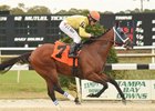 World of Trouble rolled to an easy win Jan. 20 in the Pasco Stakes at Tampa Bay Downs.
