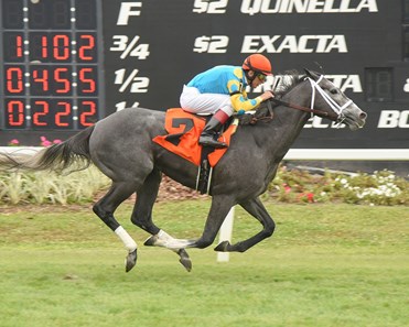 Gidu wins the 2018 Columbia Stakes