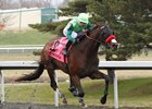 Blended Citizen wins the Jeff Ruby Steaks at Turfway Park