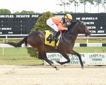 Imperial Hint wins the 2018 Horse Races Now Sprint Stakes