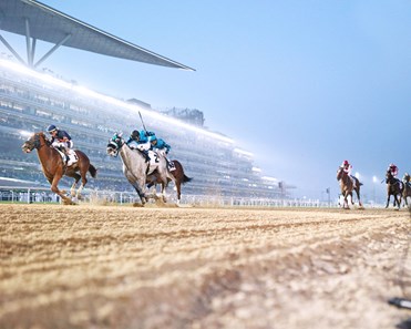 Mind Your Biscuits wins the 2018 Dubai Golden Shaheen