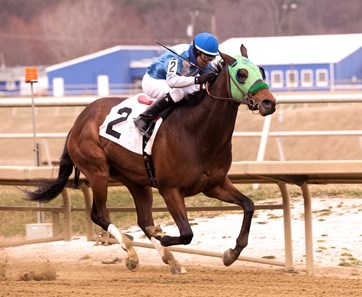 Lewisfield wins the 2018 Not For Love Stakes
