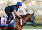 Gunnevera works ahead of the Dubai World Cup at Meydan Racecourse