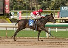 Midnight Bisou skips home in the slop to win the Santa Ysabel Stakes at Santa Anita Park