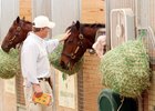Larry Best shopping at the Fasig-Tipton Gulfstream sale