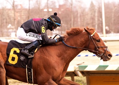 V. I. P. Code wins the 2018 Private Terms