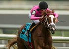 Catch a Glimpse was named Canada's Horse of the Year for 2015.