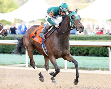 Martini Glass wins the 2018 Azeri Stakes