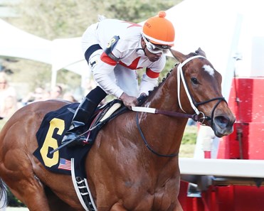 Mia Mischief wins the 2018 Purple Martin Stakes
