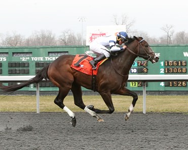 Alternative Route wins the 2018 Rushaway Stakes