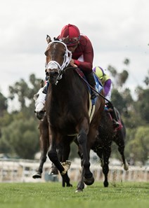 River Boyne and jockey Joel Rosario win the $200,000 Pasadena Stakes Saturday, March 17, 2018 at Santa Anita Park, Arcadia, CA.
