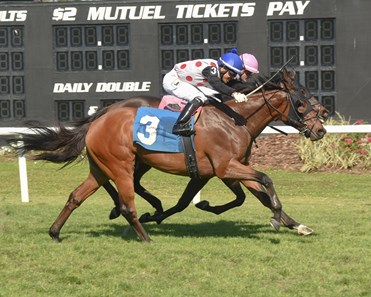 He's Bankable wins the 2018 DRF Bets Sophomore Turf Stakes