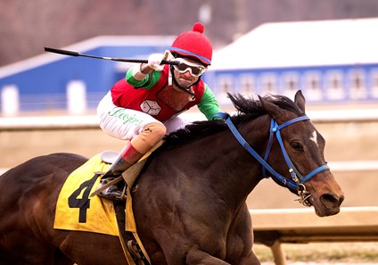 Anna's Bandit wins the 2018 Conniver Stakes