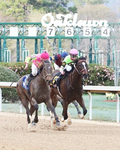 Cosmic Burst wins the 2018 Honeybee