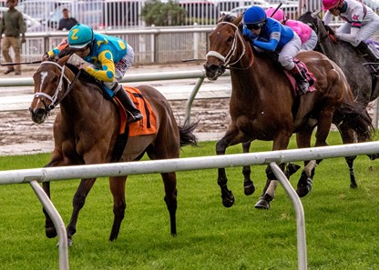 3/17/2018 - Dontmesswithjoanne with jockey Joe Bravo aboard captures the 42nd running of the Red Camelia Stakes at Fair Grounds.