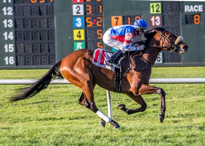 3/3/2018. - Dragon Drew with James Graham aboard wins the Black Gold Overnight Stakes at Fair Grounds.