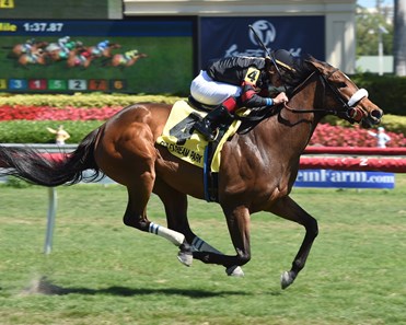 Holy Helena wins the 2018 The Very One