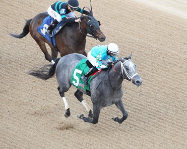 Georgia's Reward wins the 2018 Rainbow Miss Stakes