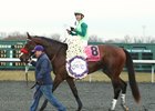Blended Citizen after winning the Jeff Ruby Steaks at Turfway Park