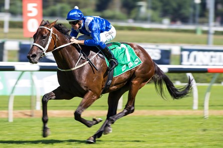 WINX wins the G1 Chipping Norton Stakes. Ridden by Hugh Bowman. Photo - Bronwen Healy. The Image is Everything. Bronwen Healy Photography.
