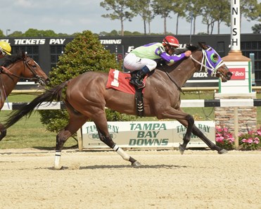 Florida Fuego wins the 2018 Stonehedge Farm South Sophomore Fillies Stakes