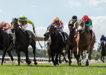 Belvoir Bay wins the 2018 Mizdirection Stakes