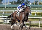 Coach Rocks wins the Gulfstream Park Oaks