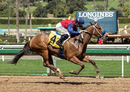 Miss Sunset and jockey Mike Smith win the $100,000 Irish O'Brien Stakes, Saturday, March 17, 2018 at Santa Anita Park, Arcadia CA.