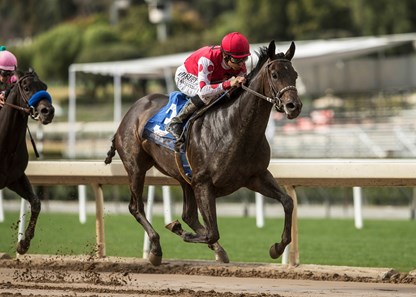 Midnight Bisou and jockey Mike Smith win the G3, $100,000 Santa Ysabel Stakes, Saturday, March 3, 2018 at Santa Anita Park, Arcadia CA.
