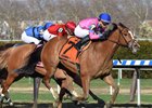 Holiday Disguise wins the 2018 Distaff Handicap