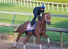 Monomoy Girl works April 28 under Florent Geroux at Churchill Downs