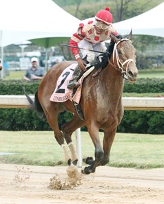 Unbridled Mo wins the 2018 Apple Blossom