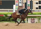 A Bind filly consigned as Hip 94 works for the Texas Thoroughbred Association's 2-year-olds in training sale
