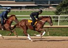 Hip 66, a son of Curlin out of Lady Alexander, breezes at the Texas 2-year-olds in training sale