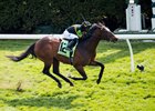 Bound for Nowhere sprints clear in the Shakertown at Keeneland