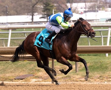 Chalon wins the 2018 Primonetta Stakes