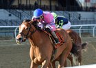 Holiday Disguise wins the 2018 Distaff Handicap