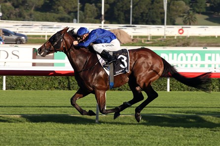 Happy Clapper wins the 2018 Doncaster Handicap ridden by jockey Blake Shinn