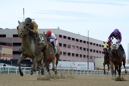 Discreet Lover wins the 2018 Excelsior