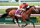 Florida Derby winner Audible, by Into Mischief out of Blue Devil Bel, was bred by Richard Leahy's Oak Bluff Stables