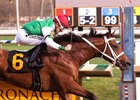 Diamond King wins the Federico Tesio Stakes at Laurel Park