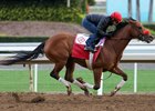 Gas Station Sushi works at Santa Anita Park