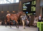 A colt by Fastnet Rock consigned as Lot 400 tops the Inglis Easter yearling sale