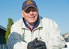 D. Wayne Lukas says Bravazo is a tough contender who could handle the rigors of the entire Triple Crown series