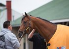 Audible will try to become the third straight Florida Derby winner to win the Kentucky Derby
