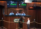 Hip 144, a colt by Strong Mandate, brought $550,000